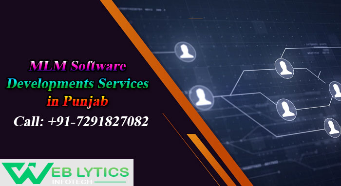 MLM Software Development Services in Punjab: Call - 7291827082